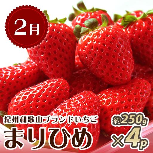 【2・7・12月 全3回】紀州和歌山産旬のフルーツセット(いちご・桃・有田みかん)定期便 【魚鶴商店】【UT70】