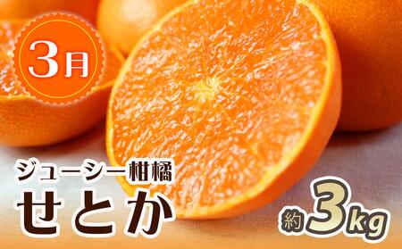 【3・7・11月 全3回】紀州和歌山産旬のフルーツセット(せとか・桃・富有柿) 定期便 【魚鶴商店】【UT72】