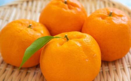 和歌山産ポンカン約5kg（サイズ混合・秀優品）★2026年2月初旬頃より順次出荷［TM136］