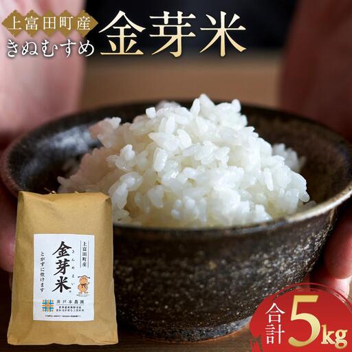 令和7年産  上富田町産 金芽米 きぬむすめ 5kg 井戸本農園 25,900円