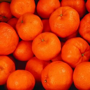 ［先行予約］家庭用 ポンカン2.5kg+250g（傷み補償分）［IKE23］