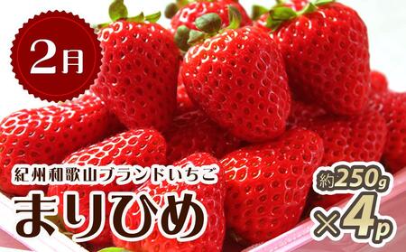 【2・7・9月 全3回】紀州和歌山産旬のフルーツセット（いちご・桃・ピオーネ）【UT95】