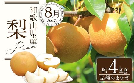 定期便全3回 【7月・8月・9月発送】 和歌山の夏のフルーツをお届け（桃・梨・たねなしピオーネ）【TM179】