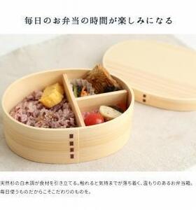 紀州漆器 曲げわっぱ まげわっぱ 弁当箱 ［スコティッシュフォールド］ 我が家のネコちゃんシリーズ［YS83］
