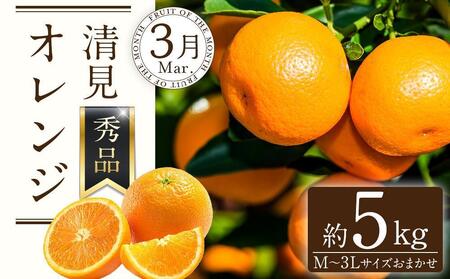 和歌山の春のフルーツ(ポンカン・清見オレンジ・セミノールオレンジ)定期便 全3回 【2月・3月・4月発送】【TM184】
