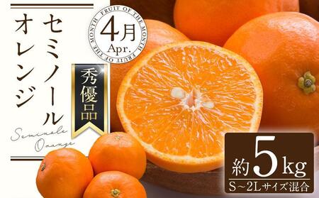 和歌山の春のフルーツ(ポンカン・清見オレンジ・セミノールオレンジ)定期便 全3回 【2月・3月・4月発送】【TM184】