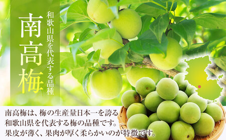 冷凍 紀州南高梅 青梅 約2kg L～4Lサイズ混合 ご家庭用