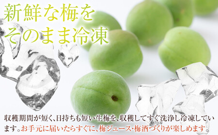 冷凍 紀州南高梅 青梅 約2kg L～4Lサイズ混合 ご家庭用