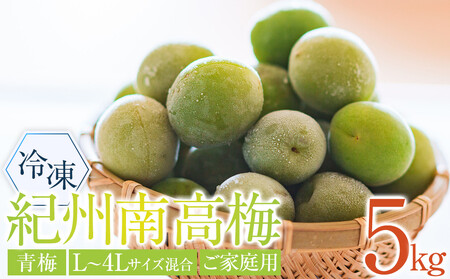 冷凍 紀州南高梅 青梅 約5kg L～4Lサイズ混合 ご家庭用