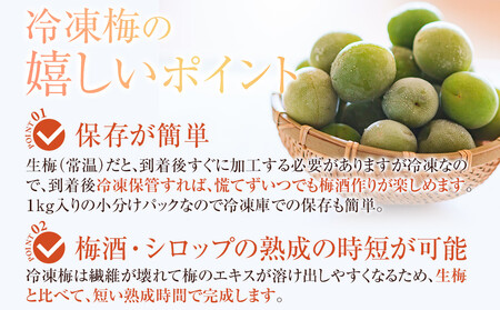 冷凍 紀州南高梅 青梅 約10kg L～4Lサイズ混合 ご家庭用