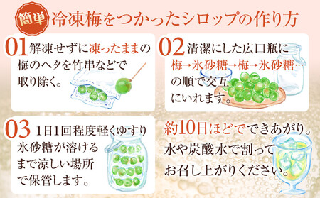 冷凍 紀州南高梅 青梅 約10kg L～4Lサイズ混合 ご家庭用