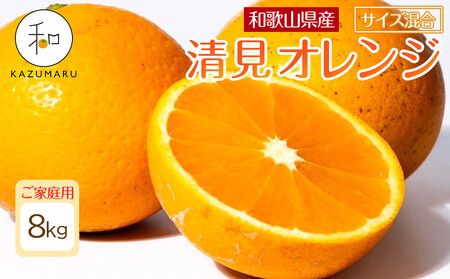 家庭用 森本農園の手選別 清見オレンジ 約8kg 和歌山県産 サイズ混合 ［北海道・沖縄・離島配送不可］［RN48］［2026年2月上旬から5月中旬頃順次発送予定］ 7,020円