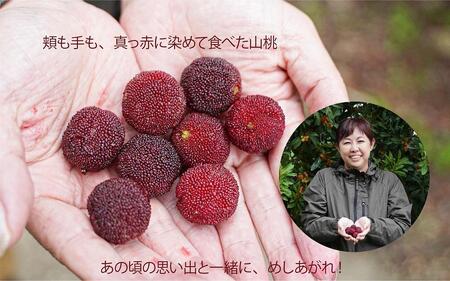 プレミア和歌山認定品幻の果実「山桃」をとじ込めた「熊野やまももしろっぷ」3本セット
