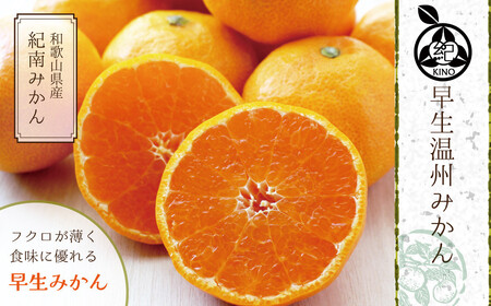和歌山県産 早生温州みかん 秀品 Mサイズ 3kg [Sn2]