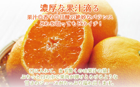 和歌山県産 早生温州みかん 秀品 Mサイズ 3kg [Sn2]