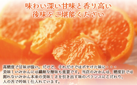 和歌山県産 早生温州みかん 秀品 Lサイズ 3kg [Sn3]