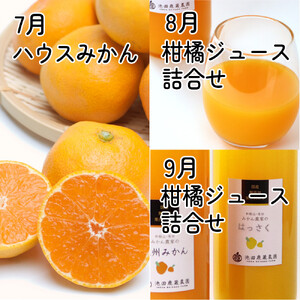 家庭用 柑橘定期便S（7～9月）全3回 ［IKE305］