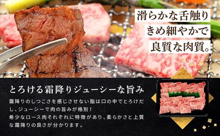 和歌山産　高級和牛『熊野牛』ロース盛合せ焼肉