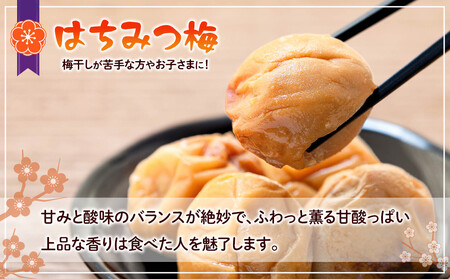 訳あり つぶれ 梅干し 500g×6パック 合計3kg はちみつ 塩分 約5％［TR1w］