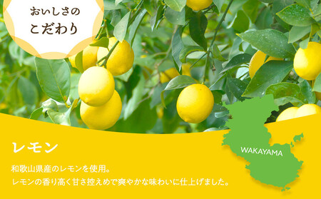 和歌山県産 輪切り果実 ドライフルーツ レモン 65g×3袋