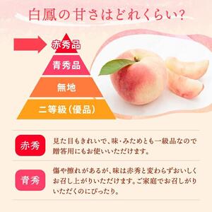 和歌山県産 白鳳 桃 5～8玉入り 秀品 先行予約［2026年6月下旬以降発送］［MG6］