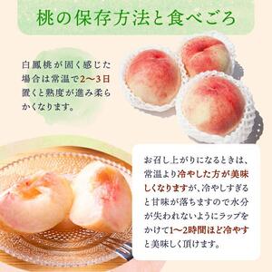 和歌山県産 白鳳 桃 5～8玉入り 秀品 先行予約［2026年6月下旬以降発送］［MG6］