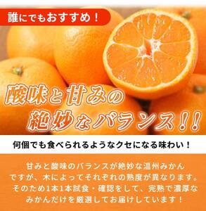 ご家庭用訳アリ】紀州有田産温州みかん7.5kg【先行予約】【UT10