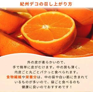 完熟紀州デコ(不知火) 約3kg　果肉プリプリ♪［2026年2月下旬以降発送］［先行予約］［UT42］