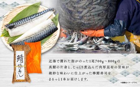 紀州和歌山の棒鯖寿司　1本