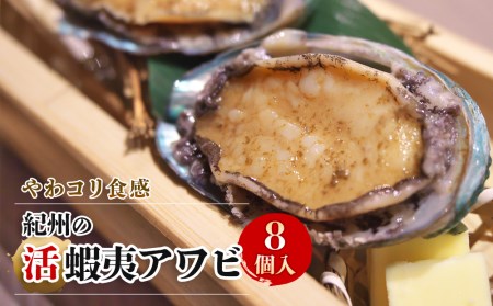 やわコリ食感紀州の蝦夷アワビ 【8個入】
