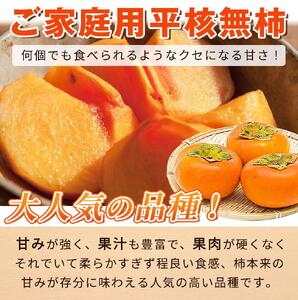 ［ご家庭用］平核無柿（ひらたねなしがき）約３.５kg 和歌山秋の味覚［2026年発送］［UT31］