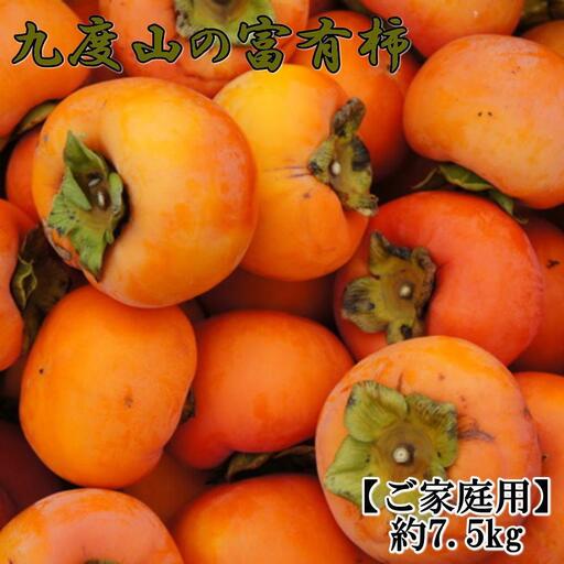 ≪柿の名産地≫九度山の富有柿約7.5kgご家庭用★2026年11月上旬頃より順次発送【TM1】