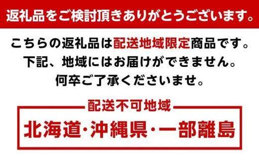 ［先行予約］家庭用 大きな有田みかん10kg+250g（傷み補償分）［2026年11月中旬から2027年1月末日頃、順次発送予定］［IKE243］