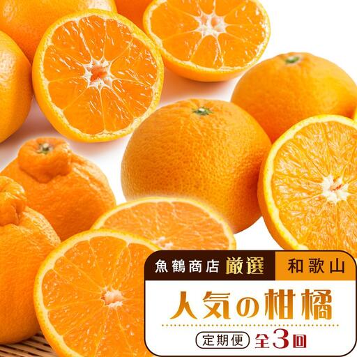 ［魚鶴商店厳選］和歌山人気の柑橘定期便（有田みかん・不知火・清見オレンジ）［定期便全3回］［UT116］
