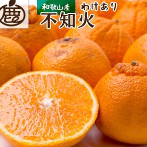 ［先行予約］家庭用 不知火1kg+250g（傷み補償分）［デコポンと同品種・人気の春みかん］［わけあり・訳あり］［IKE121］