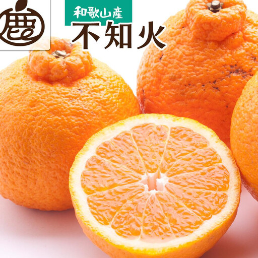 ［先行予約］厳選 不知火5kg+250g（傷み補償分）［デコポンと同品種・人気の春みかん］［IKE50］