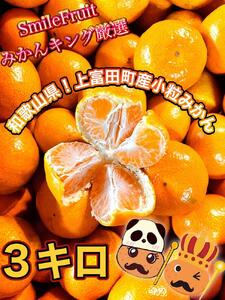 先行予約】小粒みかん3Kg 高糖度！みかんの里！【SmileFruitみかん