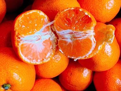 【先行予約】小粒みかん5kg　高糖度！みかんの里！【SmileFruitみかんキング厳選】2025年10月下旬以降順次発送