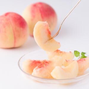 和歌山県産 桃 5玉～6玉 約1.5kg 秀品［US35］