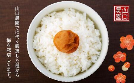 完熟南高梅使用 はちみつ熊野梅干 800g 超フルーティ(塩分8%)