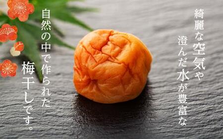 完熟南高梅使用　くずれ梅　はちみつ熊野梅干1.5kg（500g×3）　超フルーティ（塩分8％）【訳あり】
