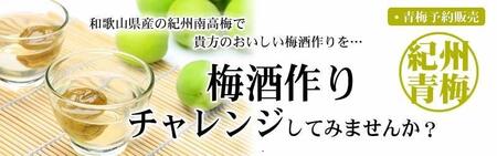 【緑】5kg ■特大サイズ 南高梅 梅酒用 フレッシュ青梅（生梅）／紀伊国屋文左衛門本舗