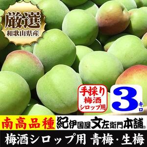 南高梅【緑】3kg ■特大サイズ 梅酒用 フレッシュ青梅(生梅)/紀伊国屋文左衛門本舗