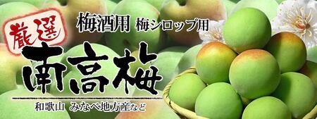 南高梅【緑】3kg ■特大サイズ 梅酒用 フレッシュ青梅(生梅)/紀伊国屋文左衛門本舗