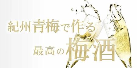 南高梅【緑】3kg ■特大サイズ 梅酒用 フレッシュ青梅(生梅)/紀伊国屋文左衛門本舗