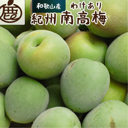 家庭用 紀州南高梅(青梅)3kg+250g（傷み補償分）【梅干し・梅ジュース】【訳あり】［IKE112］