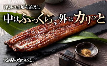 うなぎ蒲焼き2尾入り 430g～480g（蒲焼たれ4袋 山椒付き）［KS5］