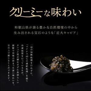 近大キャビア10g×1個