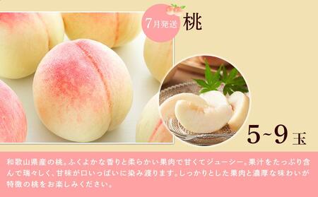 【全3回】和歌山厳選フルーツ定期便（ いちご 桃 シャインマスカット ）［MG16］