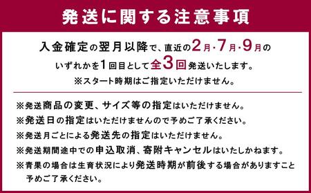 【全3回】和歌山厳選フルーツ定期便（ いちご 桃 シャインマスカット ）［MG16］